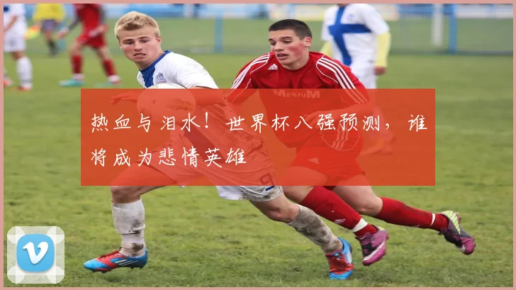 热血与泪水!世界杯八强预测,谁将成为悲情英雄