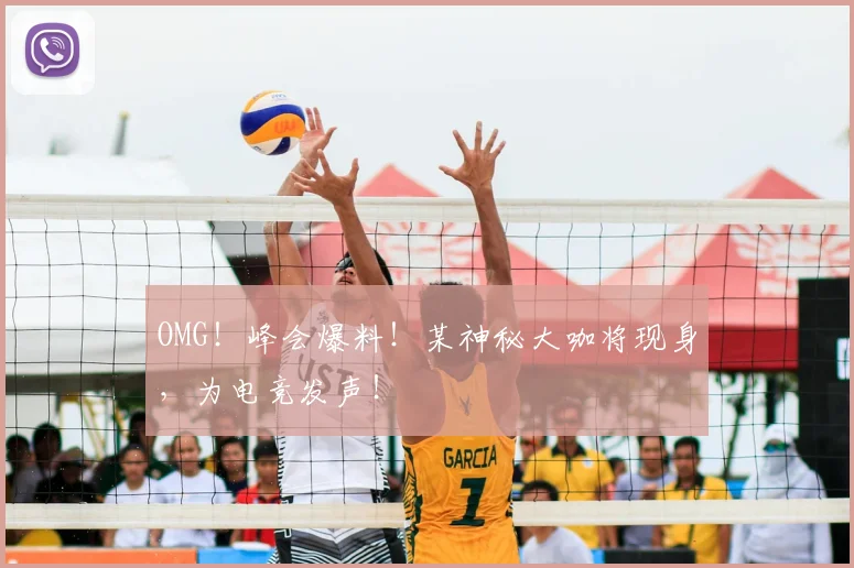 OMG！峰会爆料！某神秘大咖将现身，为电竞发声！